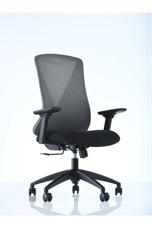 Goldsit Orfe 100Pa