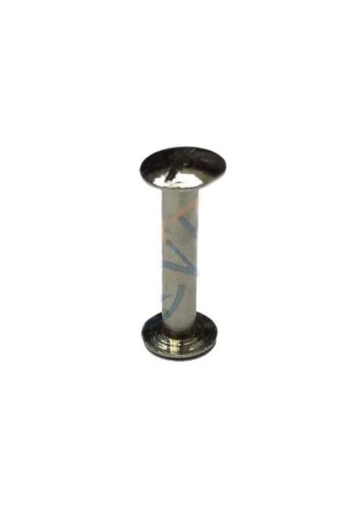 Cilt Menü, Katalog, Kartela Vidası, 20 Mm - Nikel, 100 Adet - Lisinya