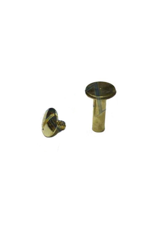 Cilt Menü, Katalog, Kartela Vidası, 20 Mm - Sarı, 100 Adet