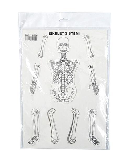 Karton İskelet Sistemi - 3 adet