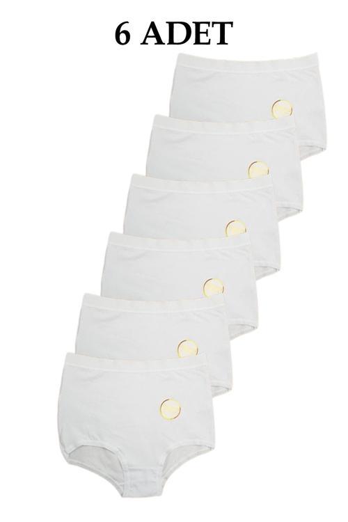 Toparlayıcı Yüksek Bel Kadın Külot 6'Lı Paket