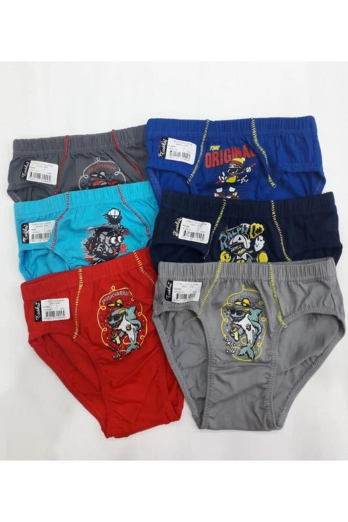 0138 Erkek Çocuk Karışık Renkli Slip Külot 6 Adet