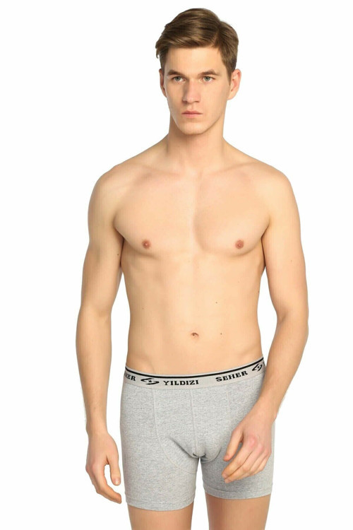 10 Adet Gri Renk Likralı Boxer