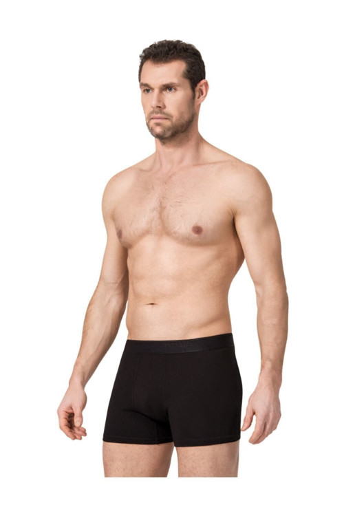 Elastan Erkek Boxer