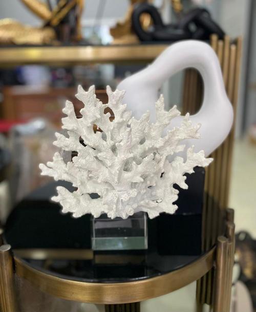 Krıstal Kaideli Mercan Biblo Krem Rengi 