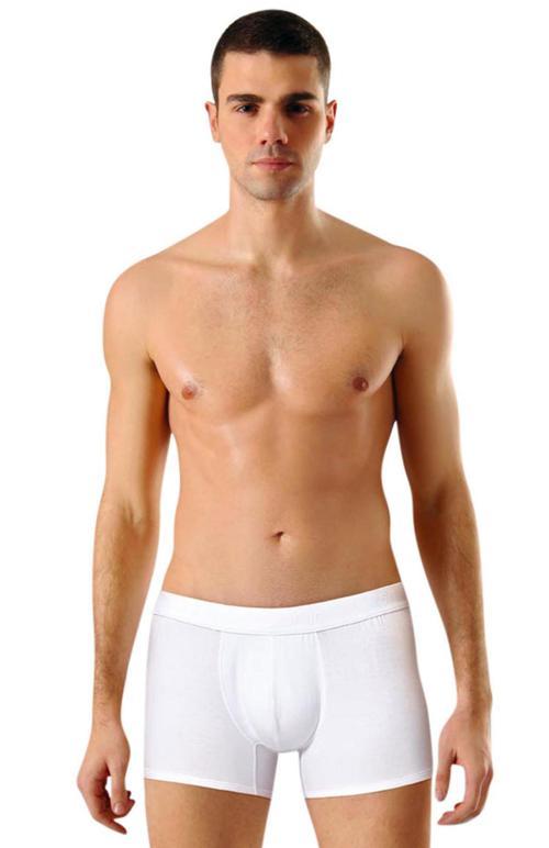 Erkek Boxer Modal - Anıt 1250