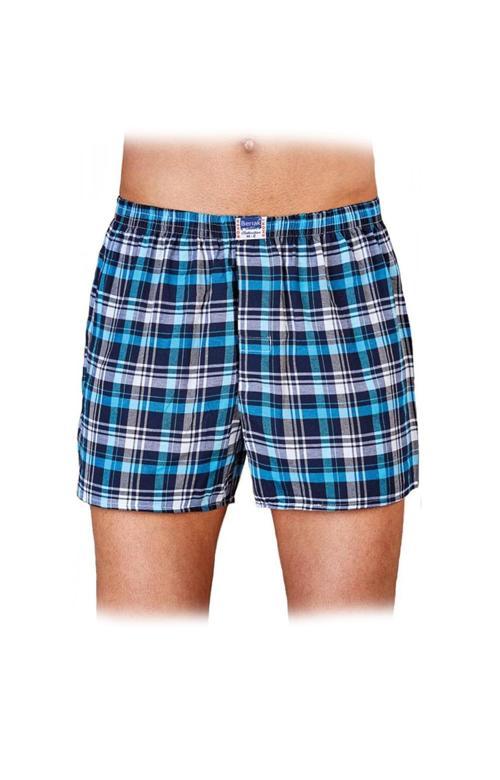 Erkek Desenli Poplin 3 Lü Boxer Berrak-1052