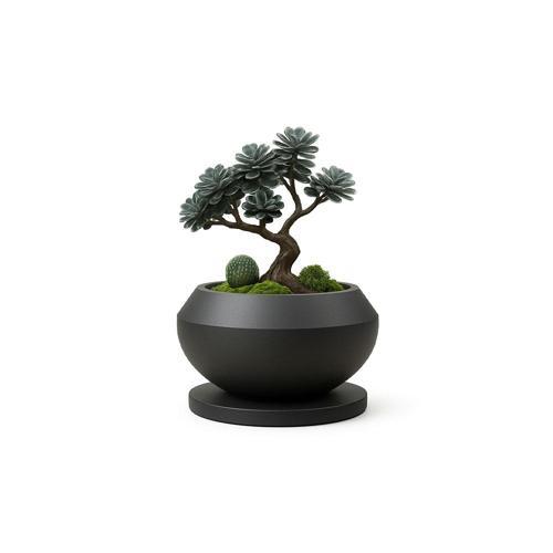 Dekoratif Bonsai Saksı