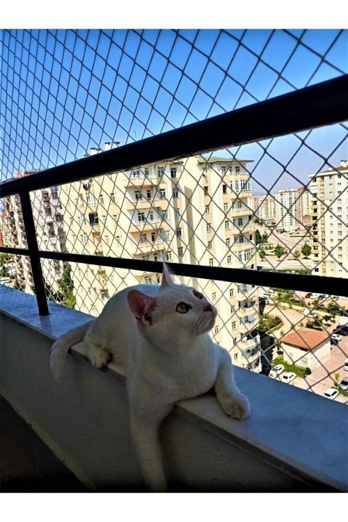 2 X 14 Metre Kedi Koruma Filesi Balkon Filesi 2 Mm Kedi Güvenlik Filesi Bebek Güvenlk Filesi