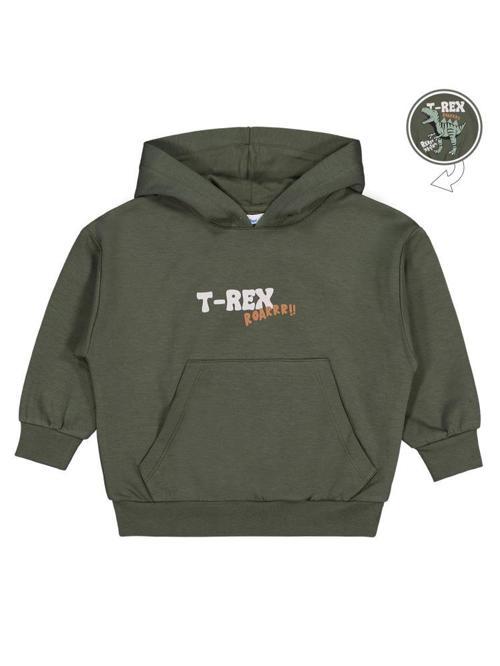 Trex Roar Baskılı 2-5 Yaş Sweatshirt - Haki4-5 Yaş
