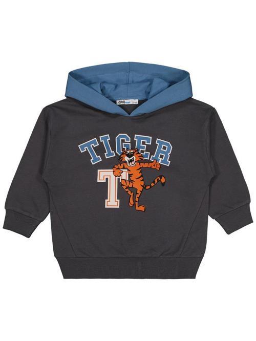 Tıger Dance Baskılı 2-5 Yaş Sweatshirt - Gri3-4 Yaş
