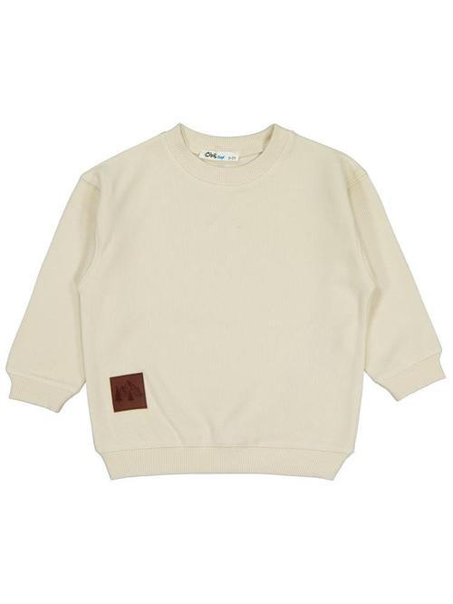 Karyoka Dikişli 2-5 Yaş Sweatshirt - Bej3-4 Yaş