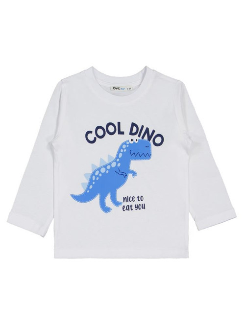 Cool Dino Baskılı 3'lü Set 2-4 Yaş Sweatshirt - Standart2-3 Yaş