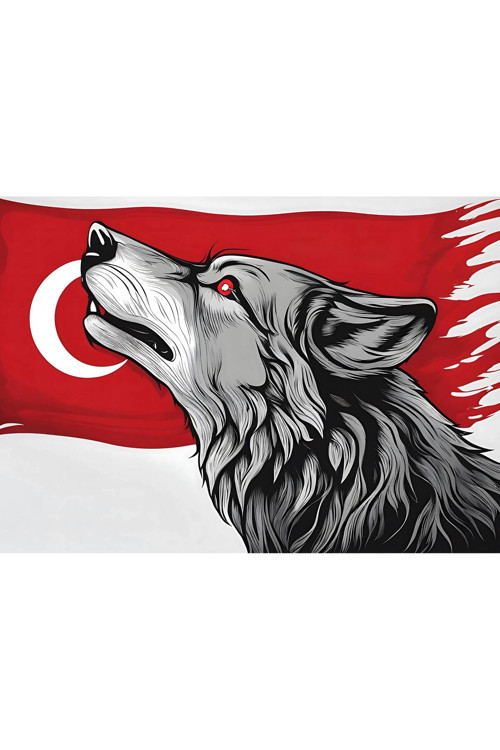 Asil Kurt 14 70X50Cm Çerçevesiz Karton Tablo