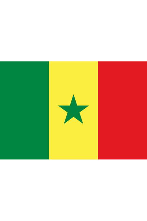 Senegal Ülke Bayrağı 45X30Cm Duvar Tablosu Çerçevesiz Pvc Tablo