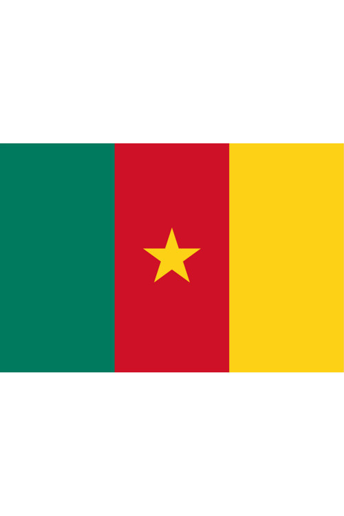 Kamerun Ülke Bayrağı 45X30Cm Duvar Tablosu Çerçevesiz Pvc Tablo
