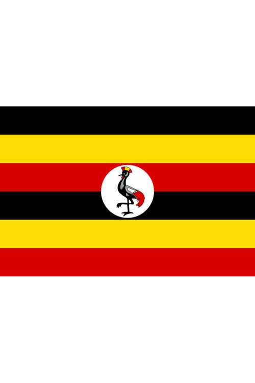 Uganda Ülke Bayrağı 45X30Cm Duvar Tablosu Çerçevesiz Pvc Tablo