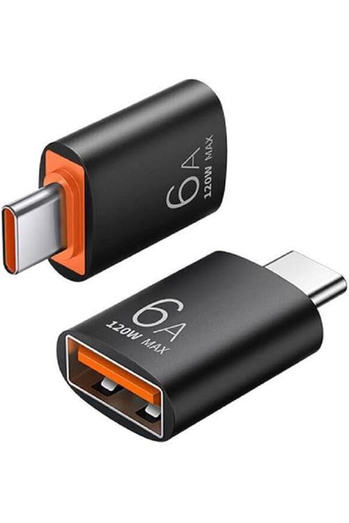 USB Type-C 6A 120W Gen 3.1 OTG Dönüşrüeücü Adaptör