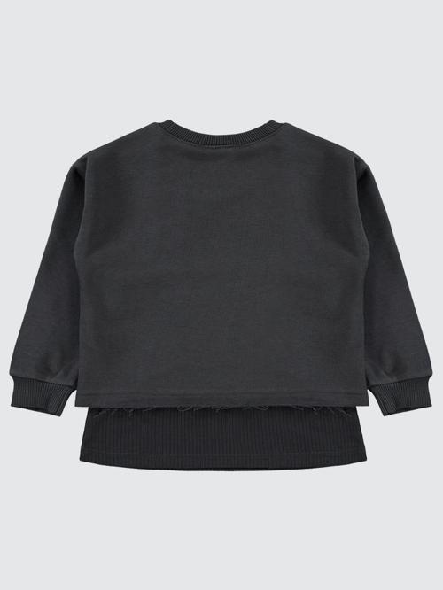 Active Baskılı 2-5 Yaş Sweatshirt - Gri3-4 Yaş