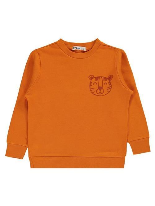 Aslan Baskılı 2-5 Yaş Sweatshirt - Turuncu3-4 Yaş