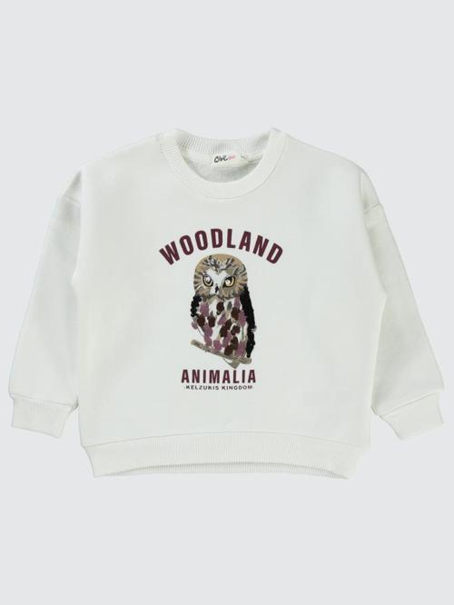 Pullu Baykuş Baskılı 2-5 Yaş Sweatshirt - Ekru4-5 Yaş