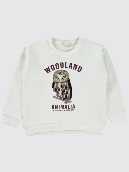 Pullu Baykuş Baskılı 10-13 Yaş Sweatshirt - Ekru12-13 Yaş