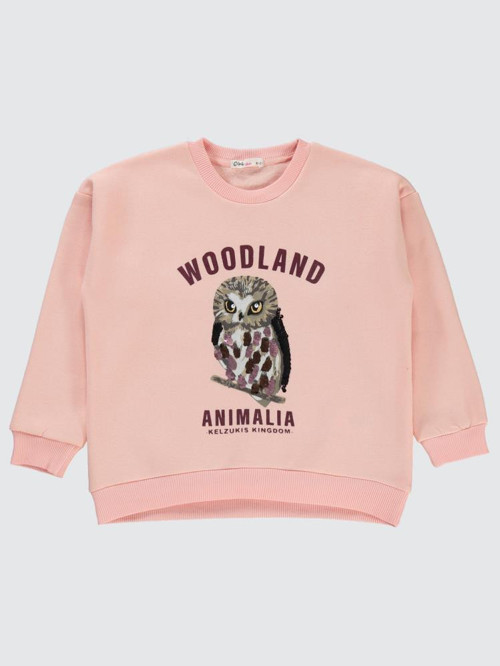 Pullu Baykuş Baskılı 10-13 Yaş Sweatshirt - Pudra10-11 Yaş