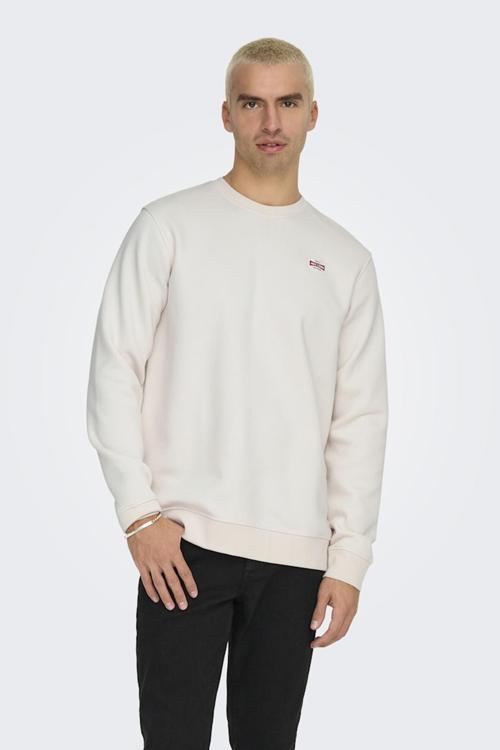 Dawson Bisiklet Yaka Erkek Krem Sweatshirt - 22033193