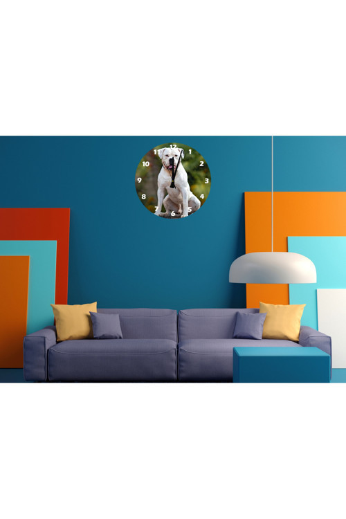Ti-Play Dogo 30X30Cm Akrilik Dekoratif Modern Duvar Saati