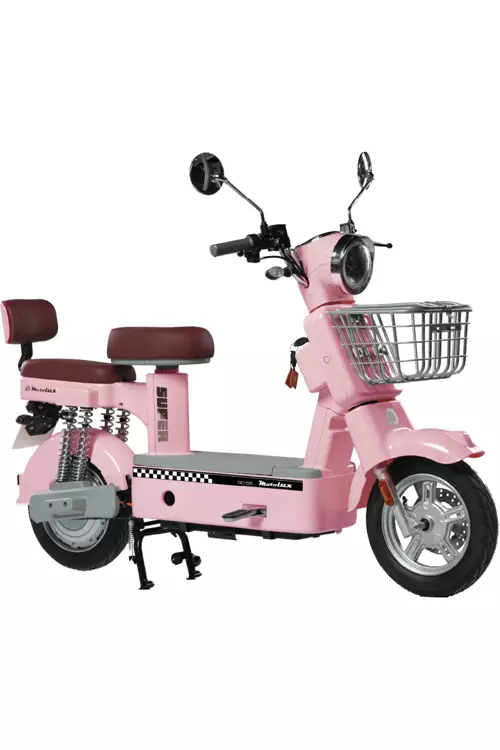 GO55 800 W Elektrikli Motosiklet