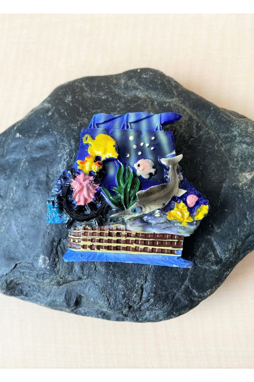 Deniz Altı Canlıları Magnet