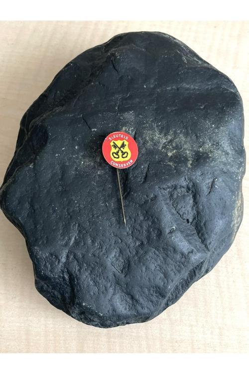 1 Adet Avrupa Conserve Anahtarı  Rozet Metal Rozet No 98