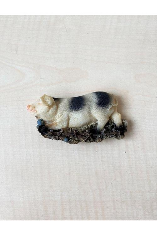 Domuz Temalı Magnet