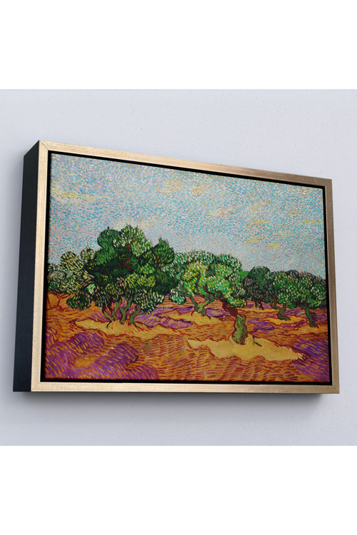 Çerçeveli Vincent Willem Van Gogh - Zeytin Ağaçları Tablosu - Olive Trees-7155