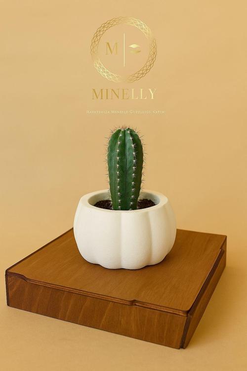 Minelly Pumpkin Touch Saksı
