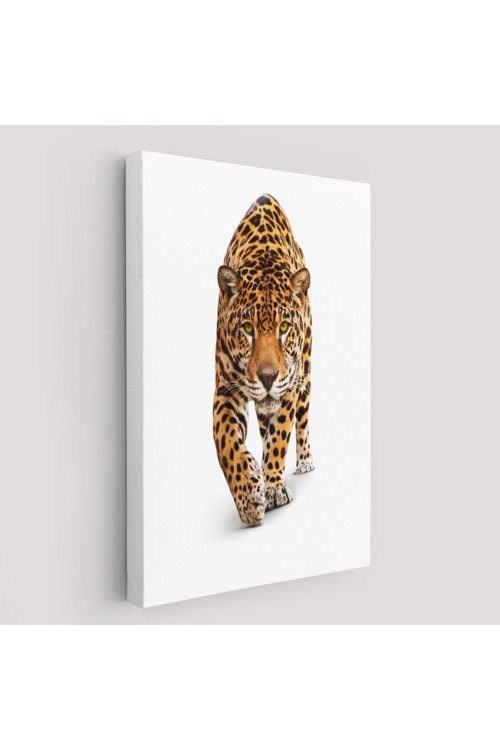 Vahşi Leopar Tablosu-5957