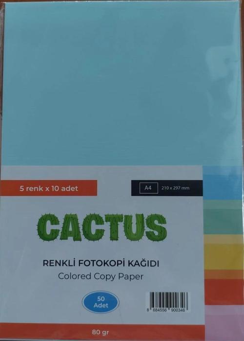 Fotokopi Kağıdı Renkli A4 80 gr. 50'li 5 Renk