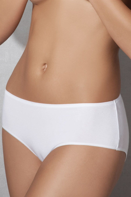 Kadın Modal Yüksek Bel Külot Slip 7106