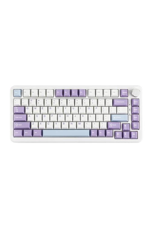 Ajazz Ak820 Max He Hall Effect Manyetik Switch Kablolu Oyun Klavyesi 8000Hz Mor Beyaz