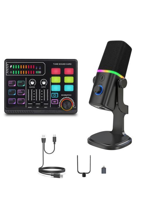 Profesyonel Ses Kartı Ve Mikrofon Set Kayıt Condenser Masaüstü Canlı Yayın Mikrofonu P100Kd8