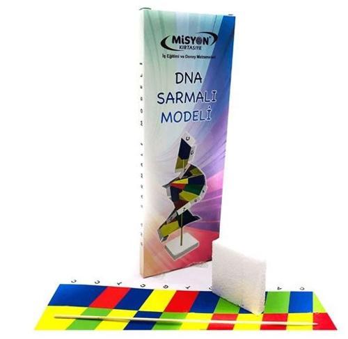 Dna Sarmalı Modeli Seti - 2 adet