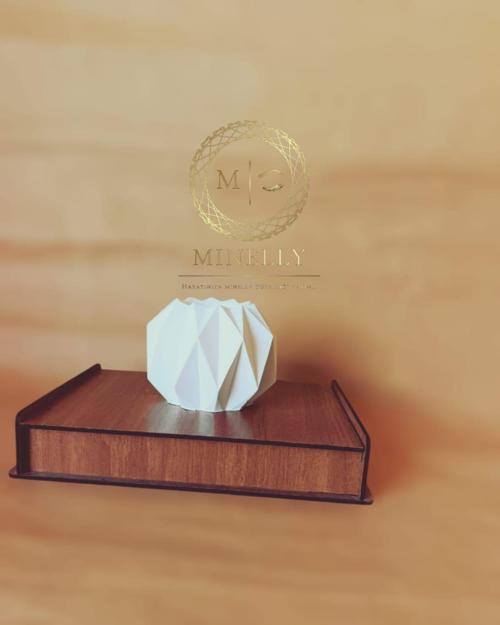 Minelly Geo Vazo