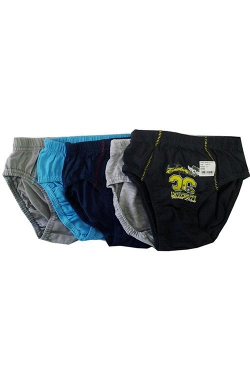 Erkek Çocuk Renkli Desenli  Slip Külot 5 li Paket Asorti