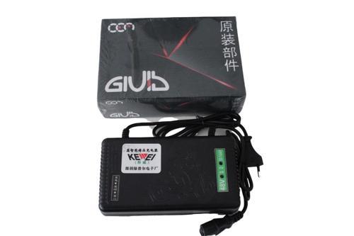 Kewei Elektrikli Bisiklet Şarj Aleti 48 V 20A