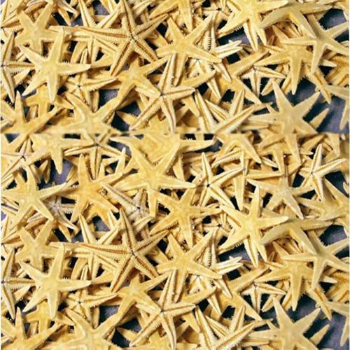 Naturel Deniz Yıldızı Minik Boy  1.5 Cm -3 Cm (100 Adet)  Natural