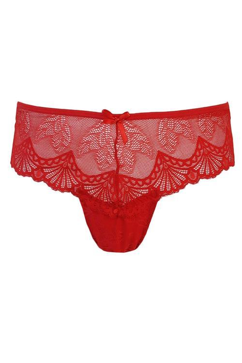 Kadın Dantel Külot Büyük Beden Bikini 