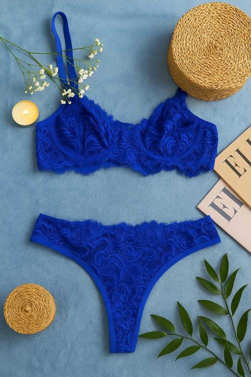 Zarif Mavi Dantelli Transparan Sütyen ve Tanga Takımı