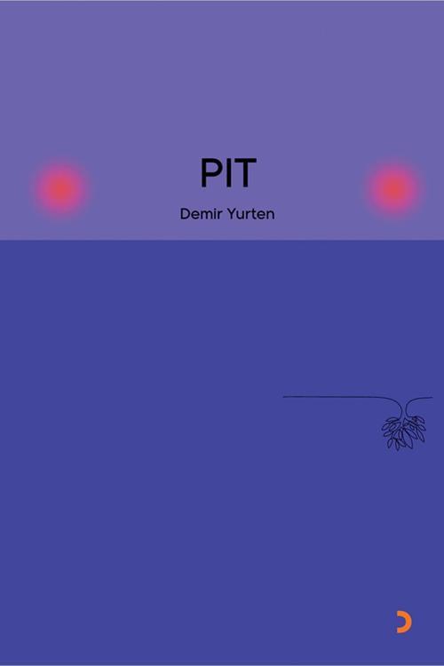 PIT & Demir Yurten
