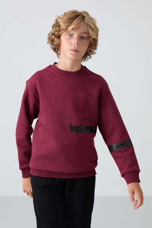 Erguvan Pamuklu Kalın İçi Tüylü Yumuşak Dokulu Standart Fit Baskılı Erkek Çocuk Sweatshirt - 11238