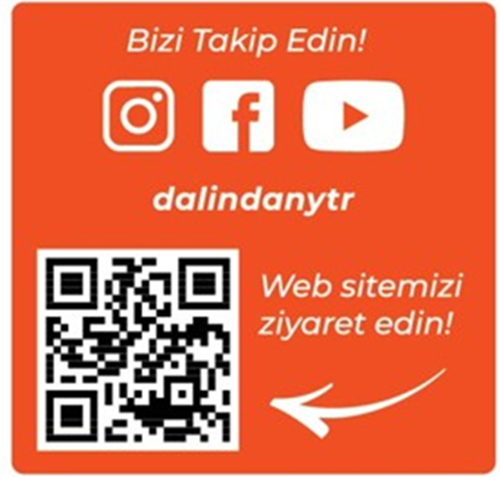 Freeze Dried Dondurularak Kurutulmuş Şeftali Dilimleri 20 Gram